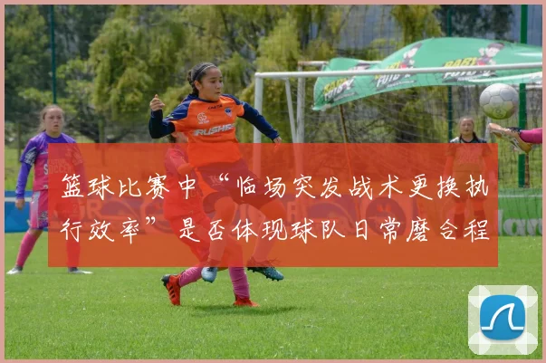 篮球比赛中“临场突发战术更换执行效率”是否体现球队日常磨合程度