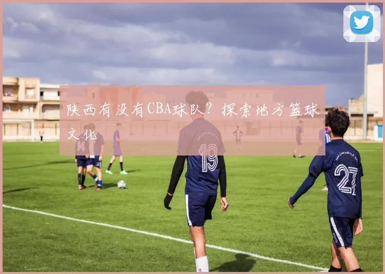 陕西有没有CBA球队？探索地方篮球文化
